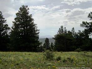 174 Ridge Road Fairplay, CO 80440 - Photo 12 of 25 Gallery Image 12