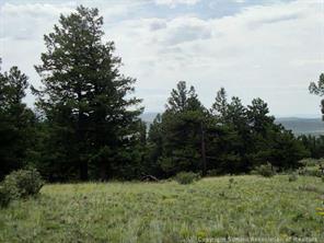 174 Ridge Road Fairplay, CO 80440 - Photo 13 of 25 Gallery Image 13