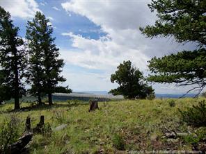 174 Ridge Road Fairplay, CO 80440 - Photo 14 of 25 Gallery Image 14