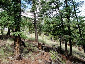 174 Ridge Road Fairplay, CO 80440 - Photo 18 of 25 Gallery Image 18
