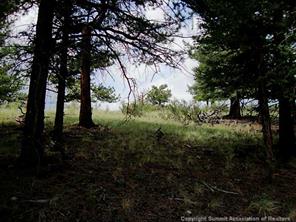 174 Ridge Road Fairplay, CO 80440 - Photo 19 of 25 Gallery Image 19