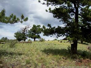174 Ridge Road Fairplay, CO 80440 - Photo 21 of 25 Gallery Image 21