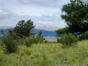 174 Ridge Road Fairplay, CO 80440 - Photo 22 of 25 Gallery Image 22