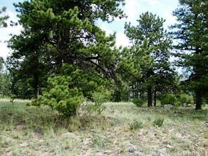 174 Ridge Road Fairplay, CO 80440 - Photo 23 of 25 Gallery Image 23