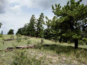 174 Ridge Road Fairplay, CO 80440 - Photo 24 of 25 Gallery Image 24