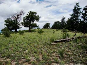 174 Ridge Road Fairplay, CO 80440 - Photo 10 of 25 Gallery Image 10