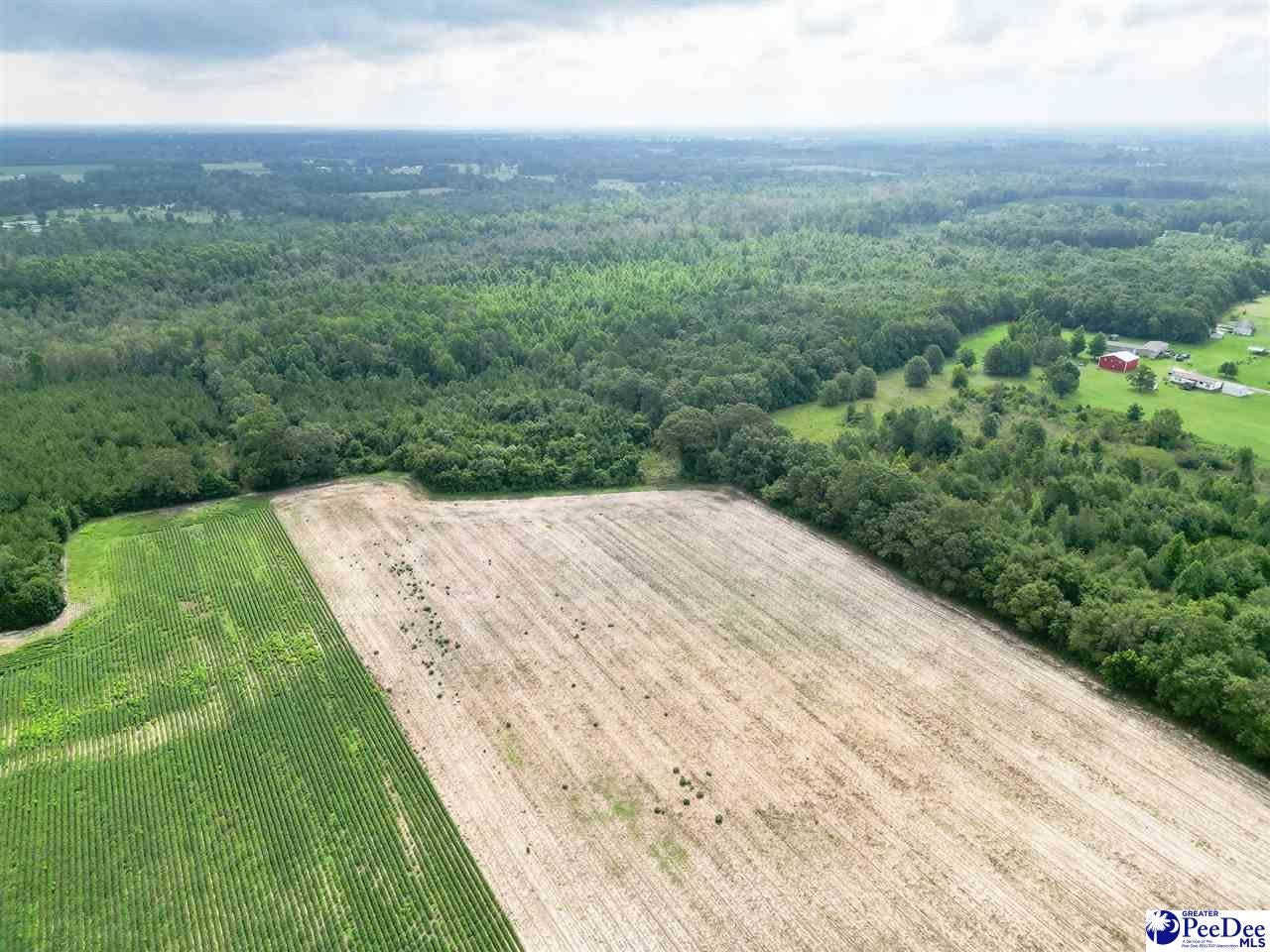 26-acres Una Road Lamar, SC 29069 - Photo 11 of 14 Gallery Image 11