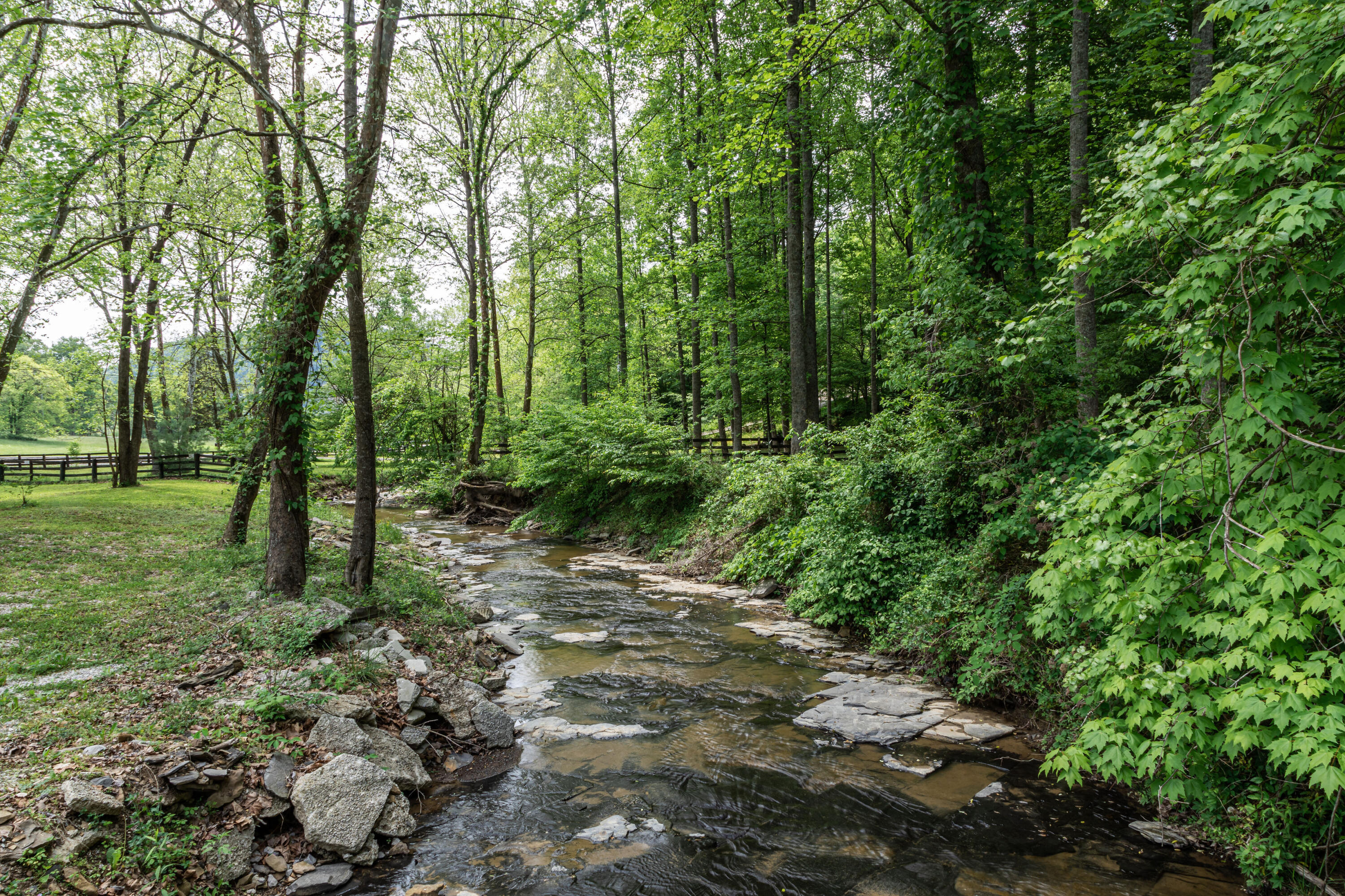 1675 Red Lick Road Berea, KY 40403 - Photo 35 of 37 36A58306-E965-415E-9E37-78F9CAAB8D2D