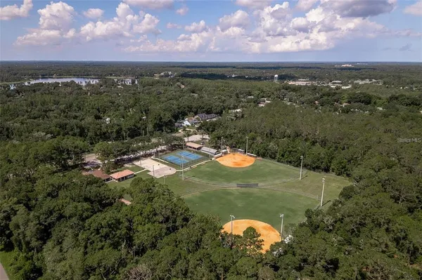 $2,950 | 18619 Yocam Avenue, Lutz, FL 33549