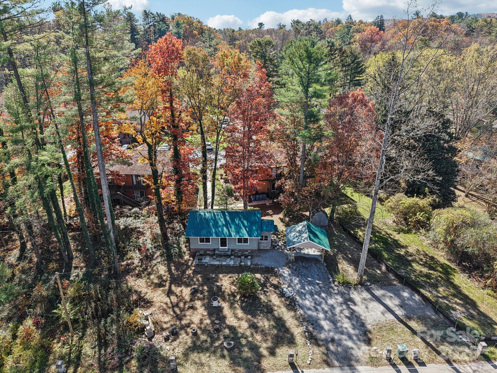 1749 Haywood Road Hendersonville, NC 28791 - Photo 32 of 48 a view of a yard with plants and large trees
