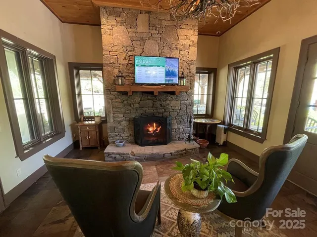 a view of a yard with a tree