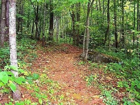 a view of a house with a yard and potted plants