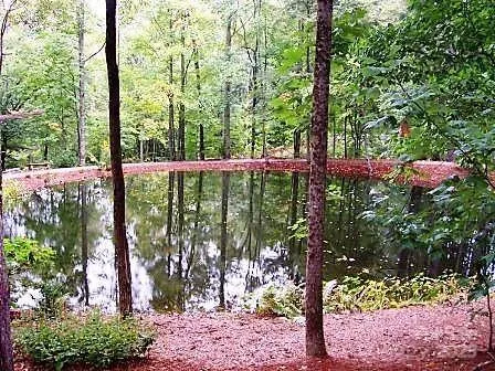 a large living room with lots of furniture and chandelier