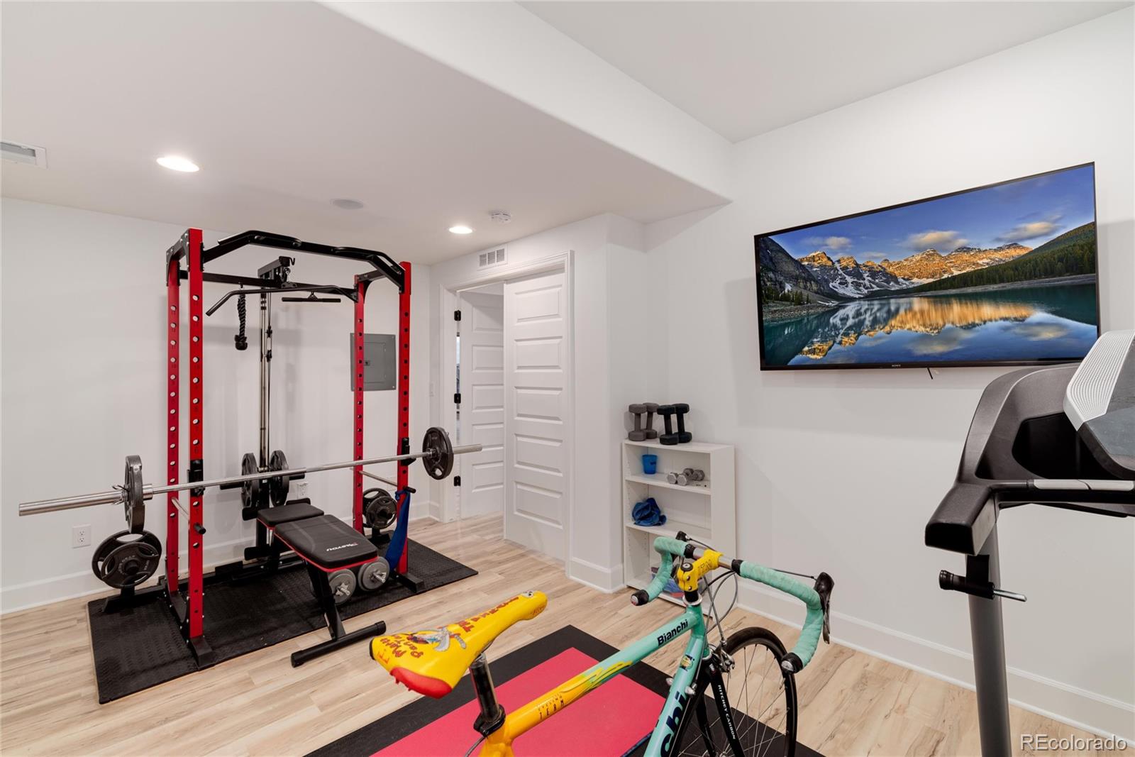 10841 Greycliffe Drive Highlands Ranch, CO 80126 - Photo 22 of 25 a view of a room with gym equipment