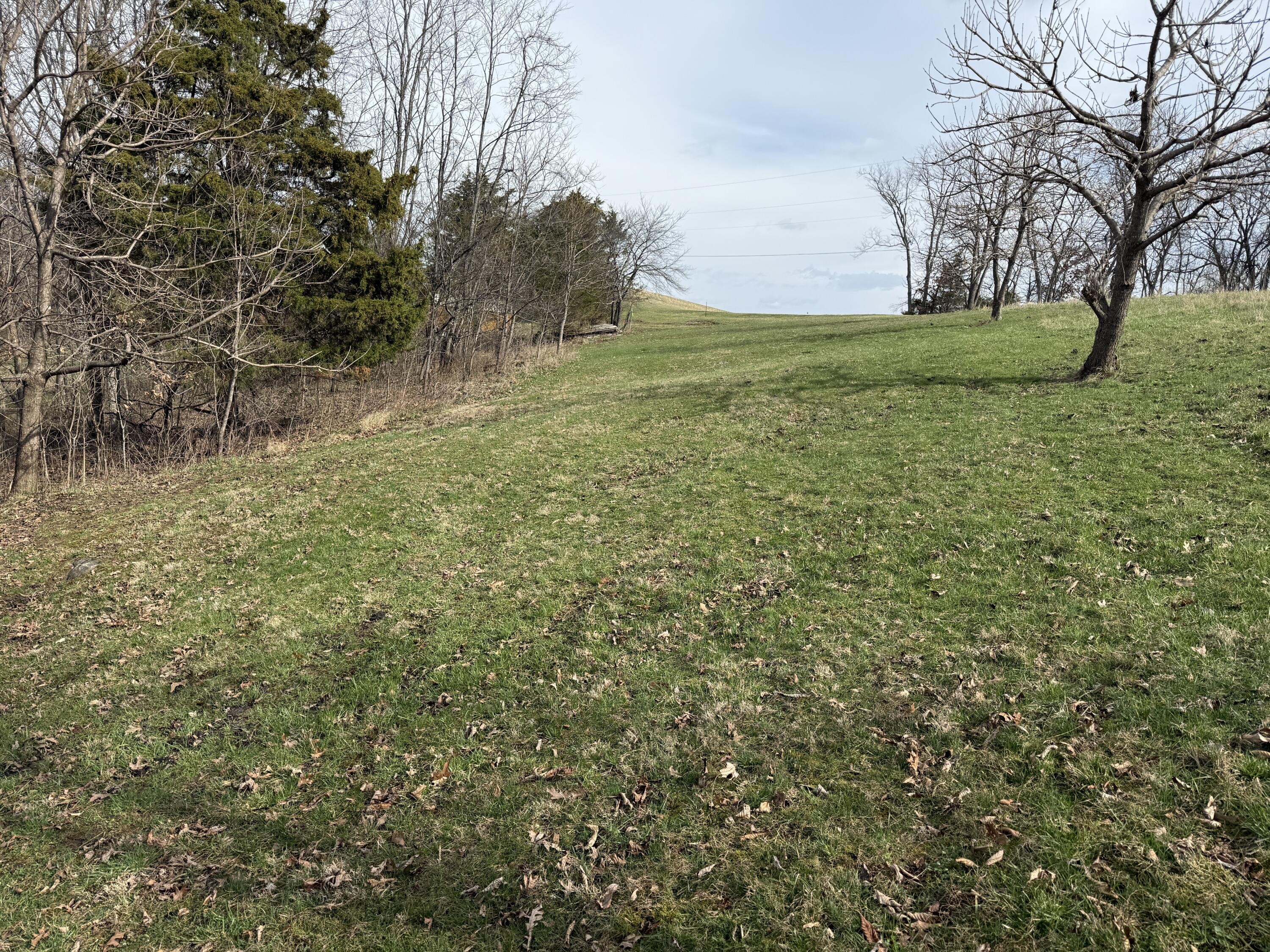 0 Mattox Road Falmouth, KY 41040 - Photo 1 of 19