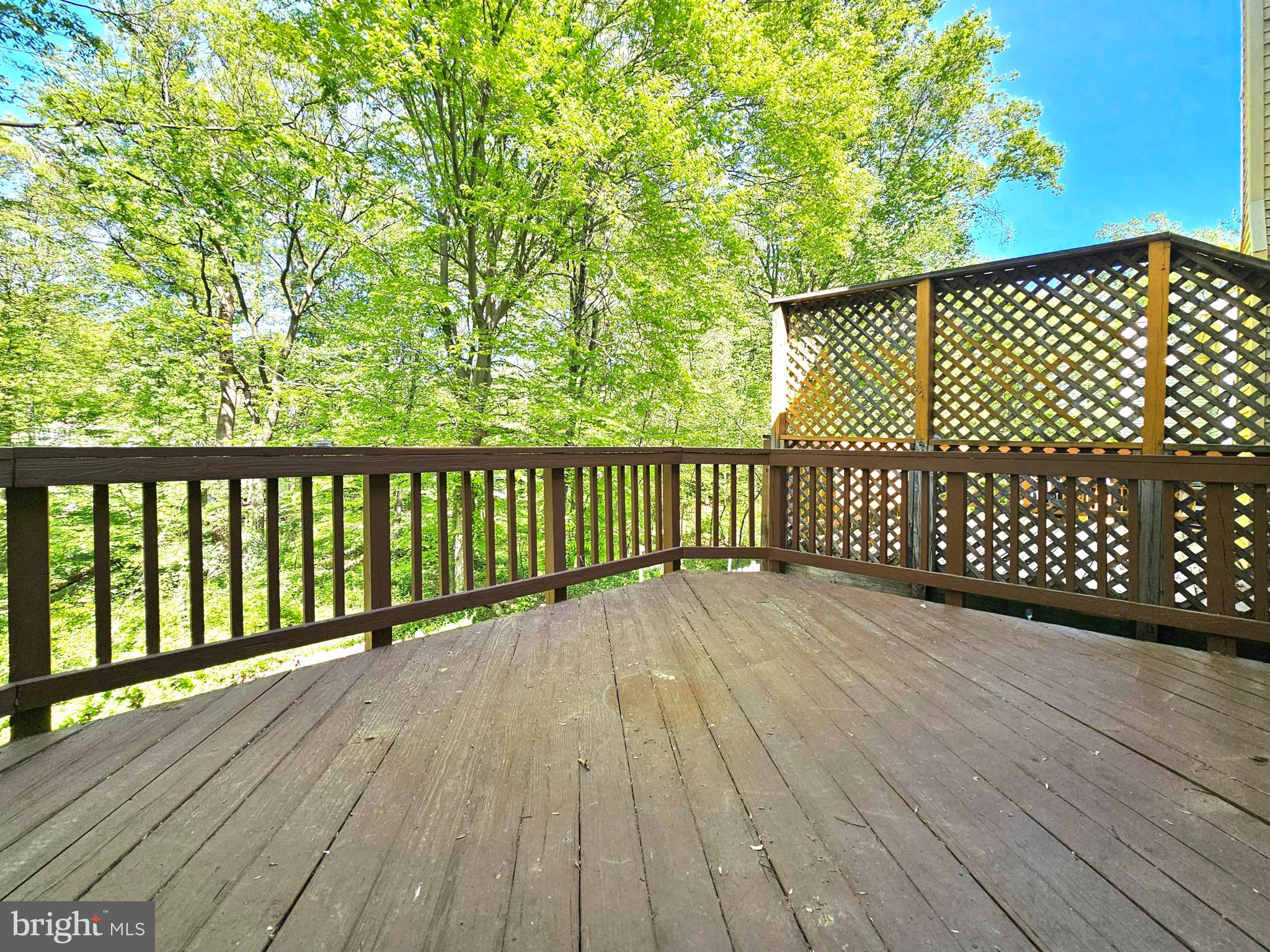 7664 Northern Oaks Court Springfield, VA 22153 - Photo 11 of 29
