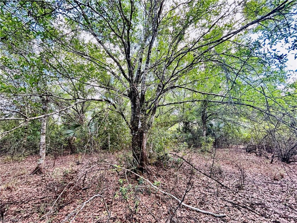 19850 Burgundy Farms Road Estero, FL 33928 - Photo 7 of 10