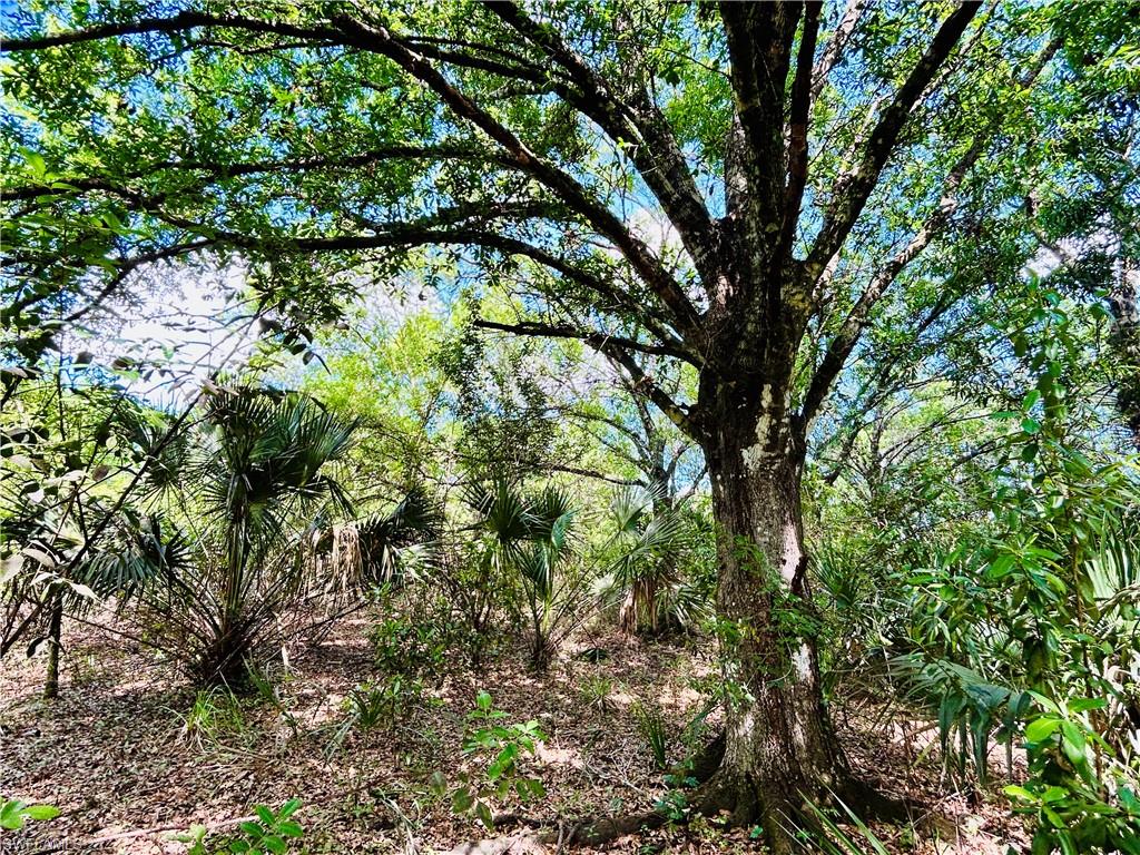 19850 Burgundy Farms Road Estero, FL 33928 - Photo 8 of 10