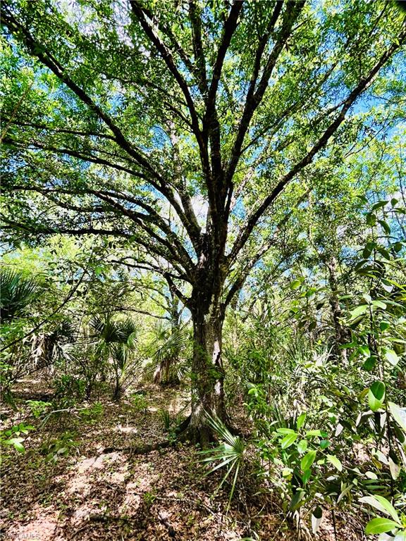 19850 Burgundy Farms Road Estero, FL 33928 - Photo 9 of 10