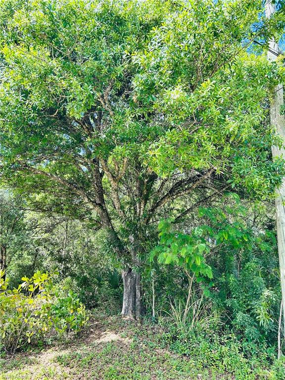 19850 Burgundy Farms Road Estero, FL 33928 - Photo 10 of 10