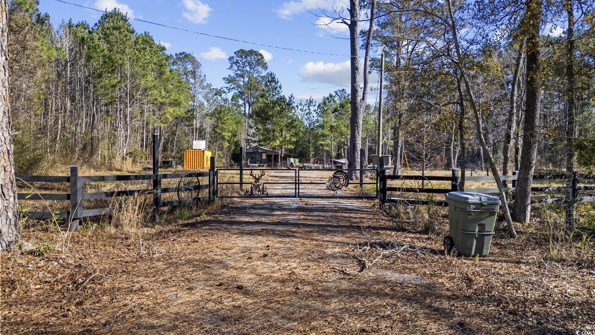 705 Catclaw Road Andrews, SC 29510 - Photo 1 of 26 View of street