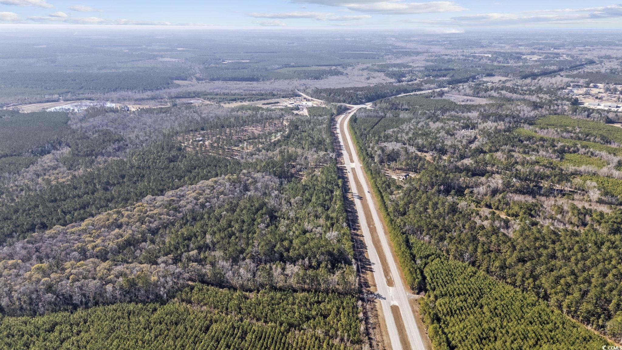 705 Catclaw Road Andrews, SC 29510 - Photo 17 of 26 Drone / aerial view