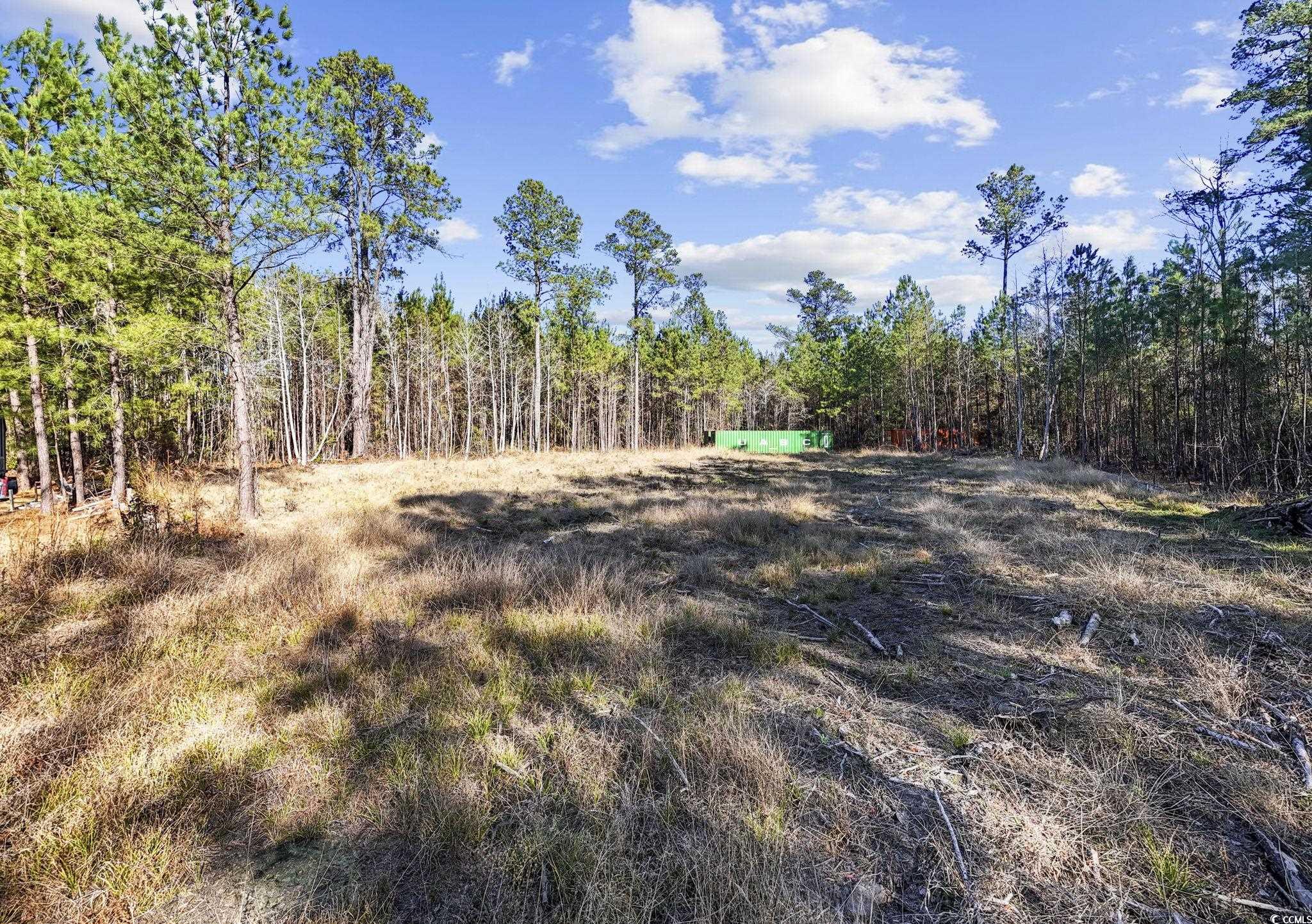 705 Catclaw Road Andrews, SC 29510 - Photo 19 of 26 View of nature