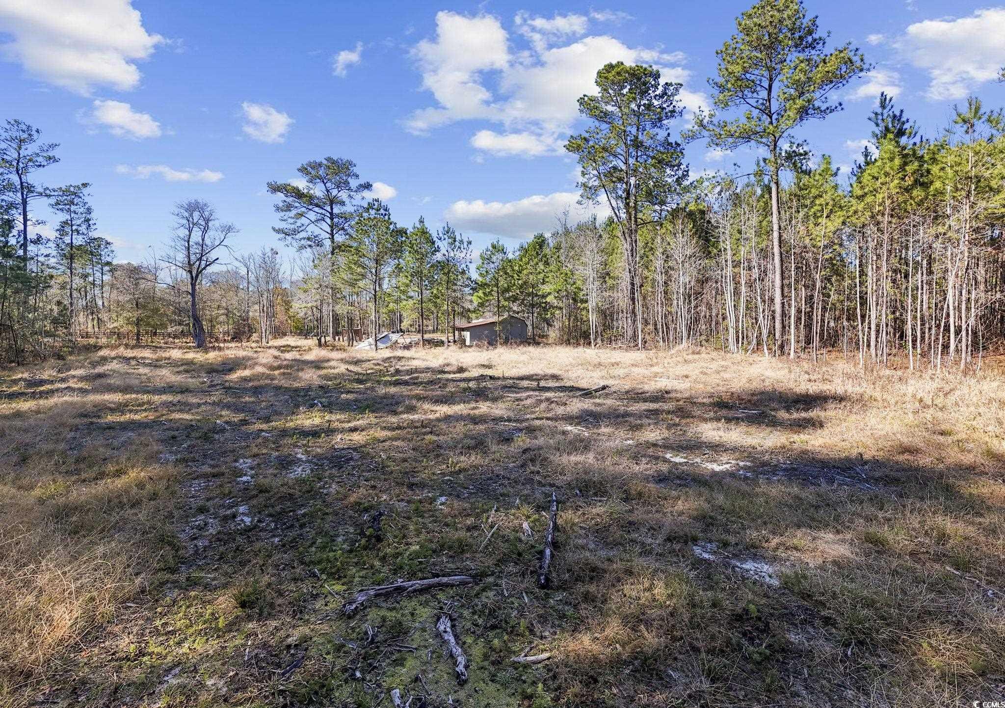 705 Catclaw Road Andrews, SC 29510 - Photo 20 of 26 View of landscape