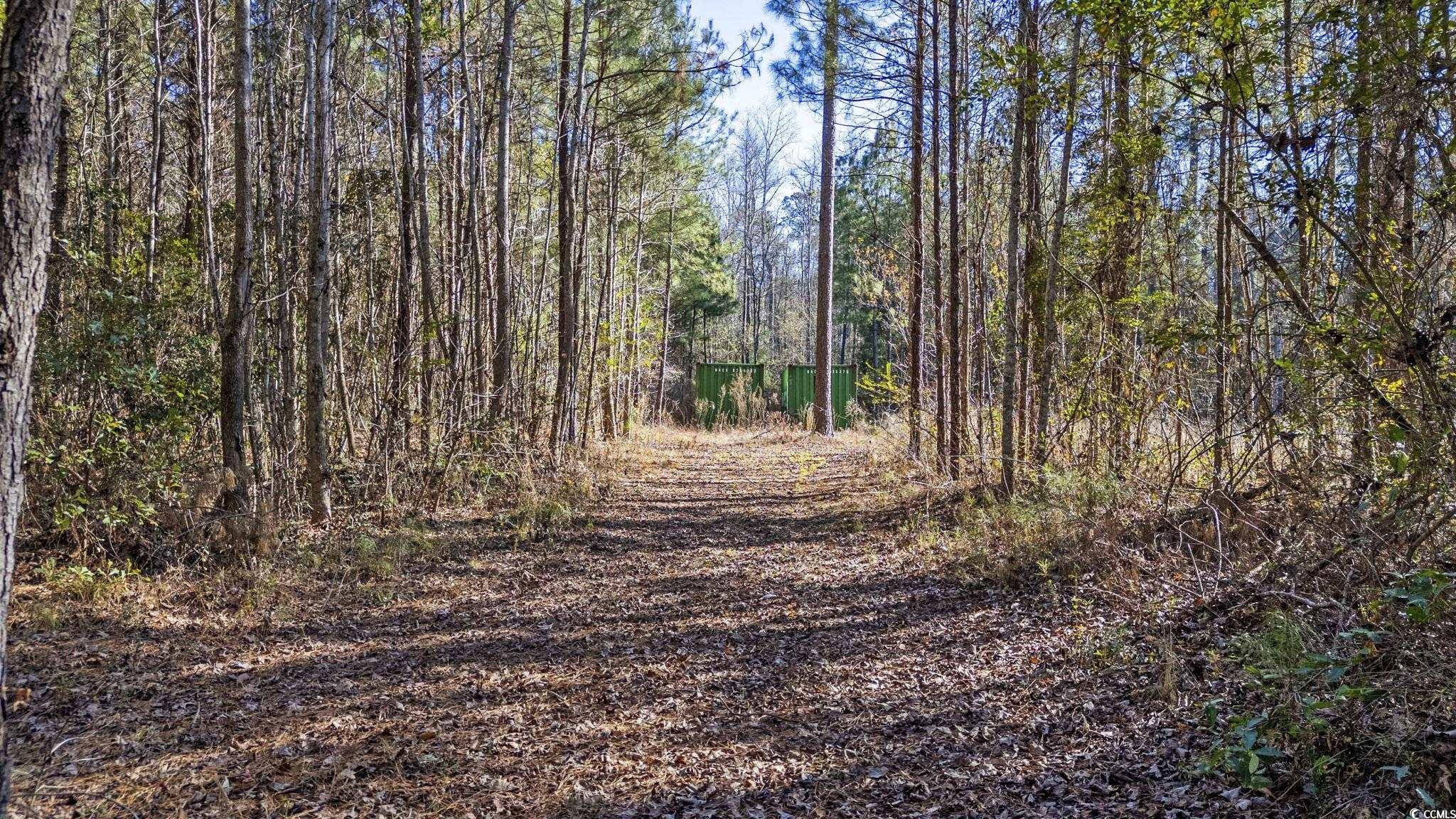 705 Catclaw Road Andrews, SC 29510 - Photo 21 of 26 View of landscape