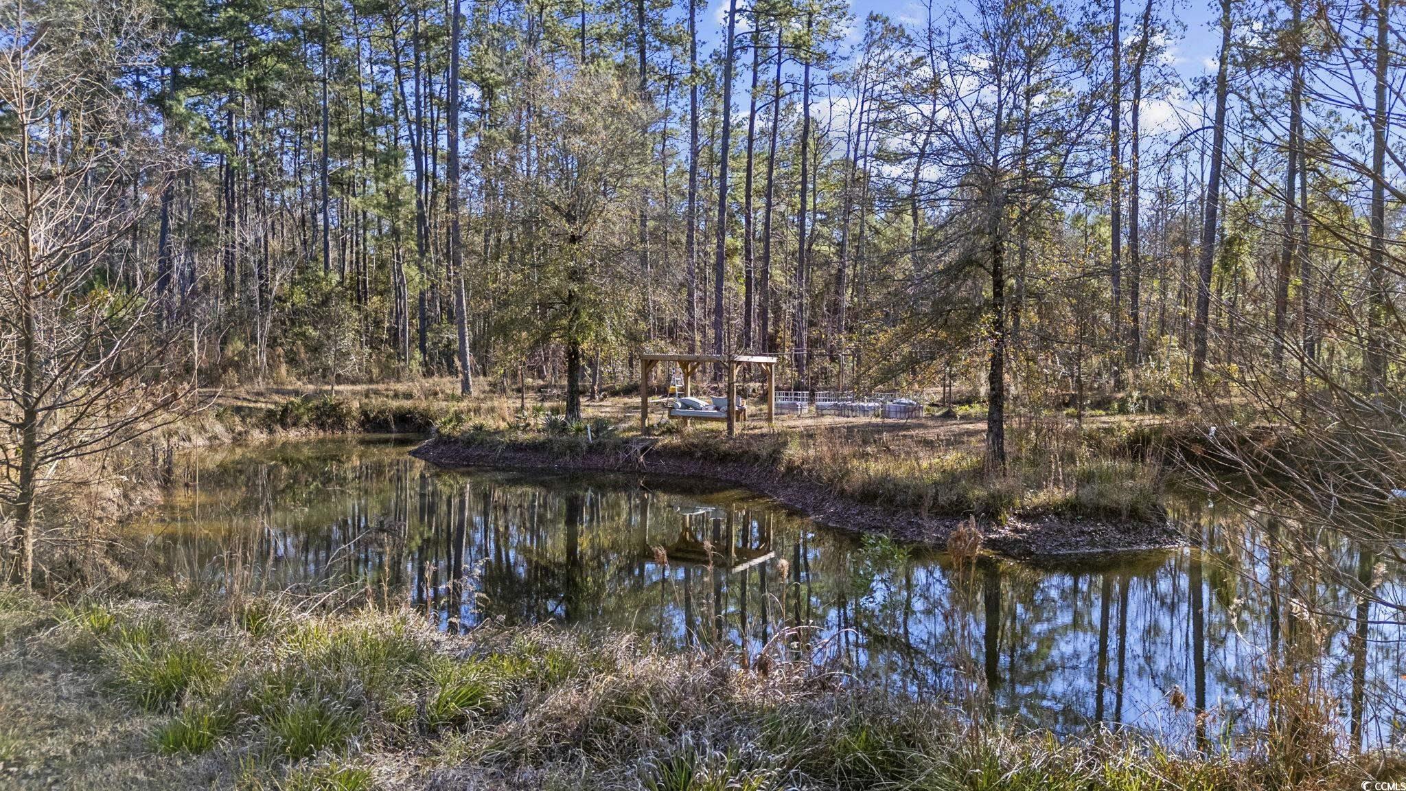 705 Catclaw Road Andrews, SC 29510 - Photo 23 of 26 Water view