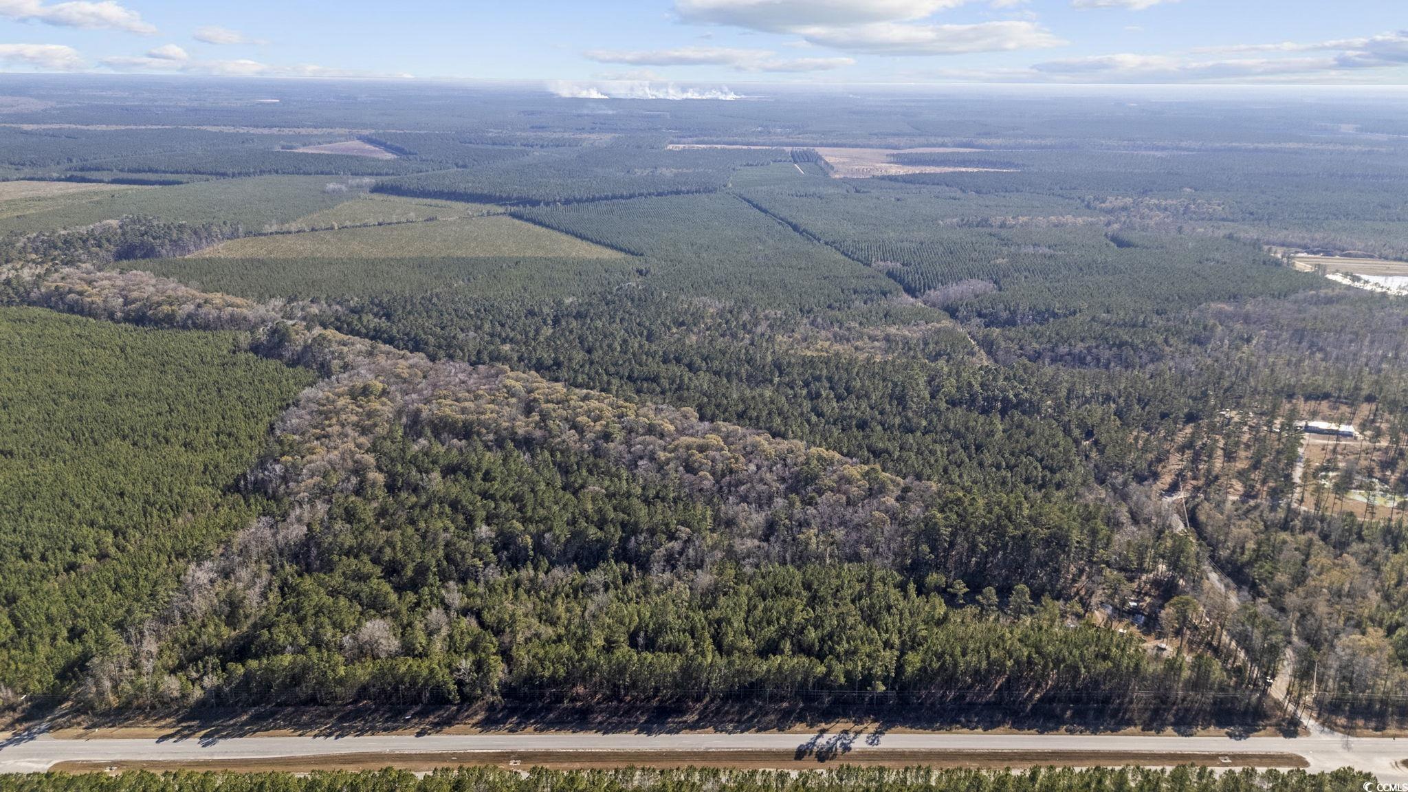 705 Catclaw Road Andrews, SC 29510 - Photo 8 of 26 Aerial view