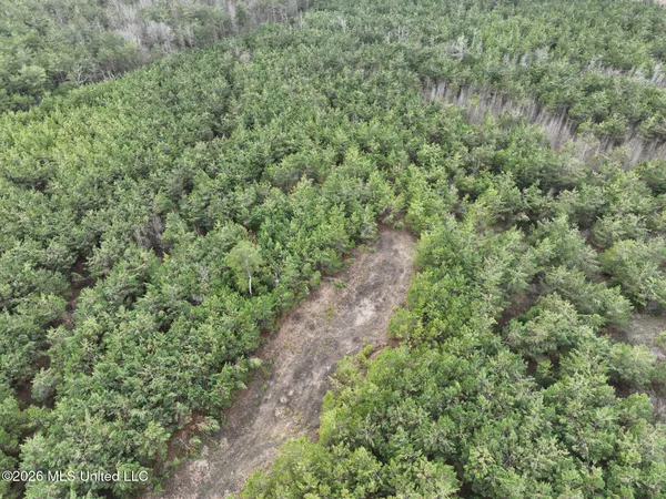 $240,000 | 1177 County Road 194, Blue Springs, MS 38828