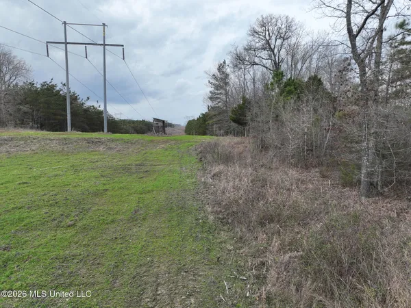$240,000 | 1177 County Road 194, Blue Springs, MS 38828