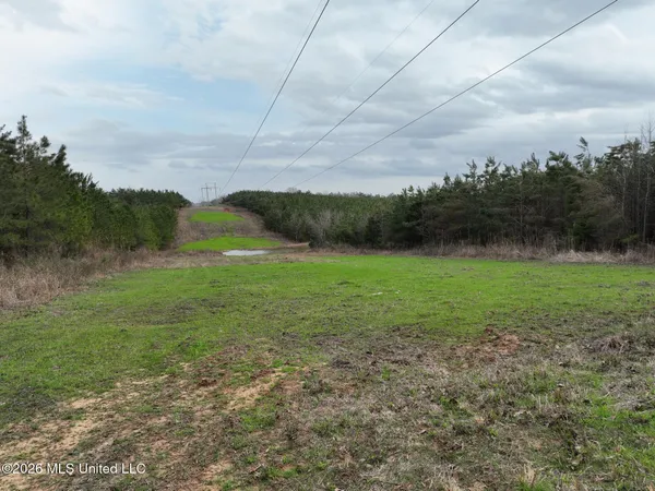 $240,000 | 1177 County Road 194, Blue Springs, MS 38828