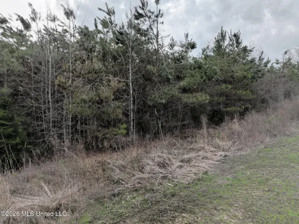 $240,000 | 1177 County Road 194, Blue Springs, MS 38828