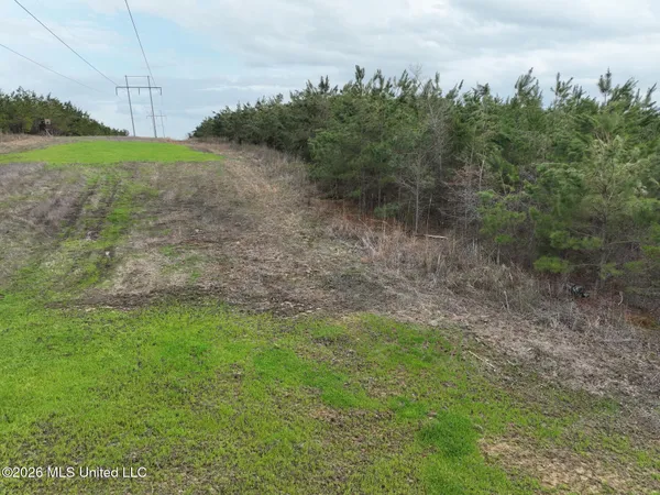 $240,000 | 1177 County Road 194, Blue Springs, MS 38828