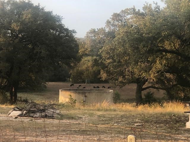 933 East Quarry Road London, TX 76854 - Photo 27 of 36
