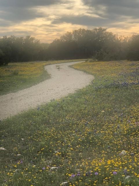 933 East Quarry Road London, TX 76854 - Photo 3 of 36