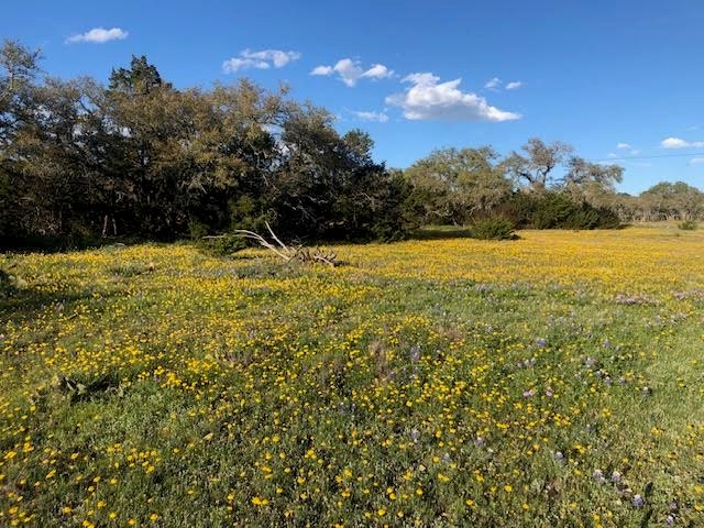 933 East Quarry Road London, TX 76854 - Photo 33 of 36