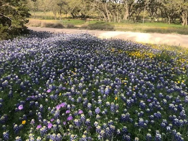 $595,000 | 933 East Quarry Road, London, TX 76854