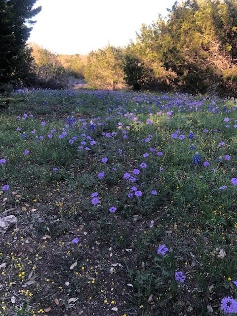 933 East Quarry Road London, TX 76854 - Photo 36 of 36