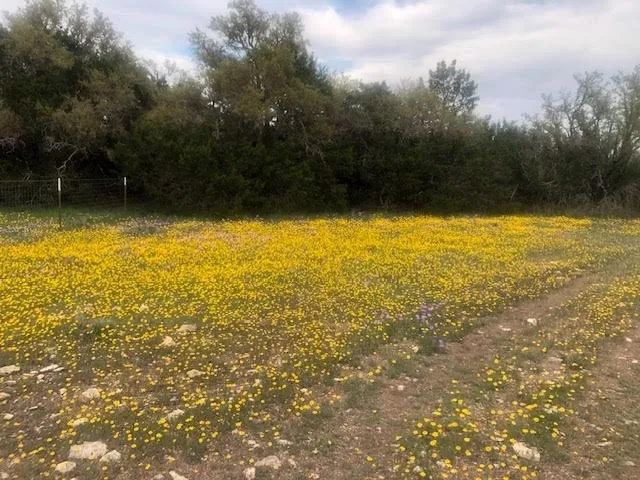 $595,000 | 933 East Quarry Road, London, TX 76854