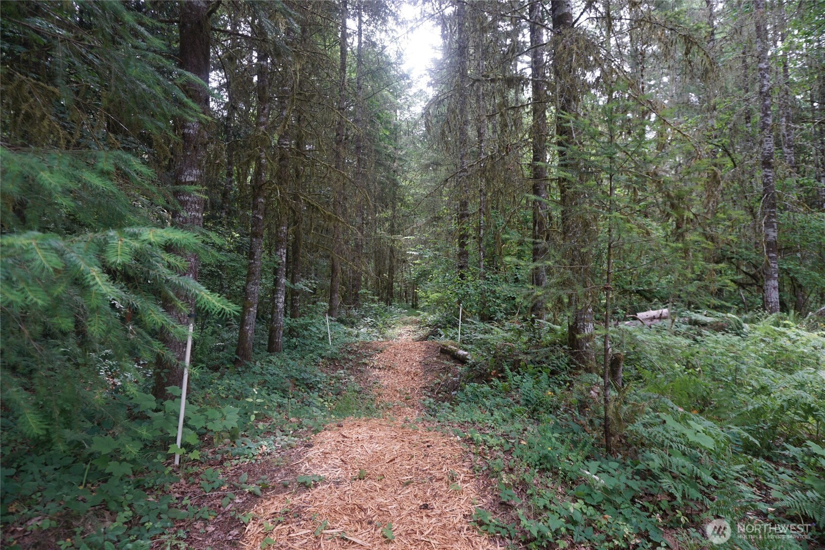 259 Finn Hill Road Winlock, WA 98596 - Photo 29 of 32 Gallery Image 29
