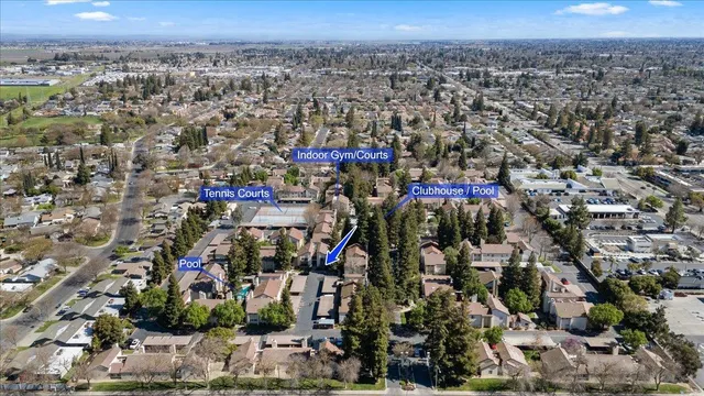 a view of a park with large trees