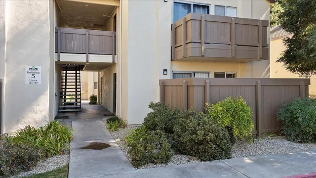 a view of a path along with potted plants