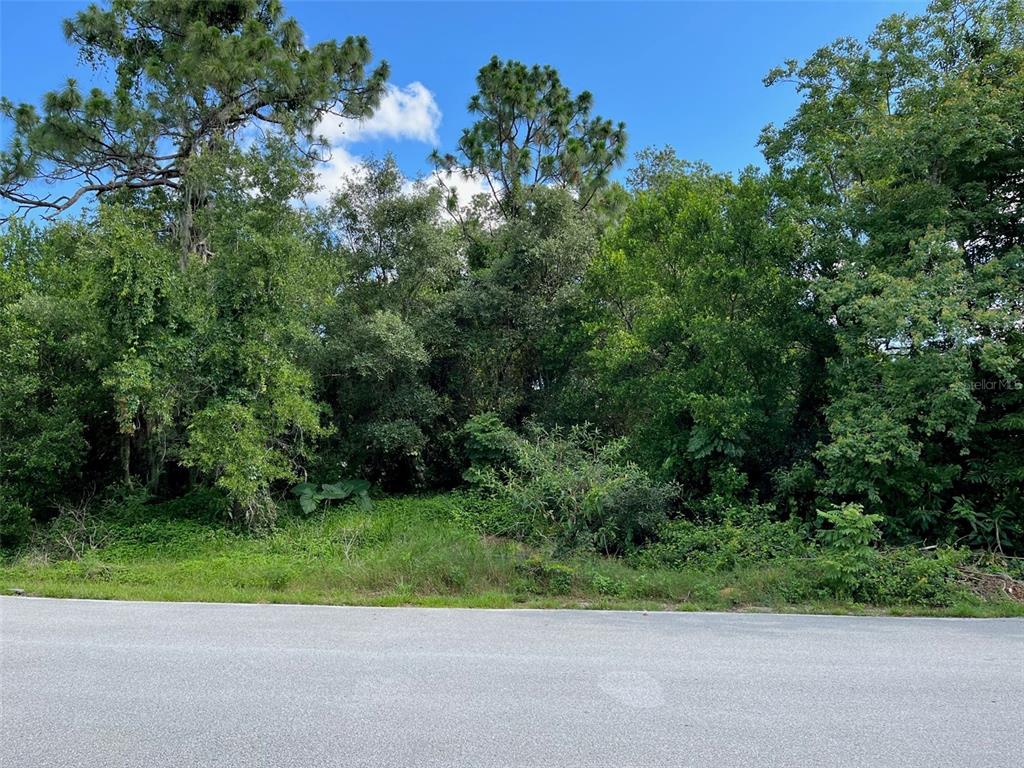 Cofield Ln Spring Hill Spring Hill, FL 34608 - Photo 1 of 1 a view of a yard with a plant