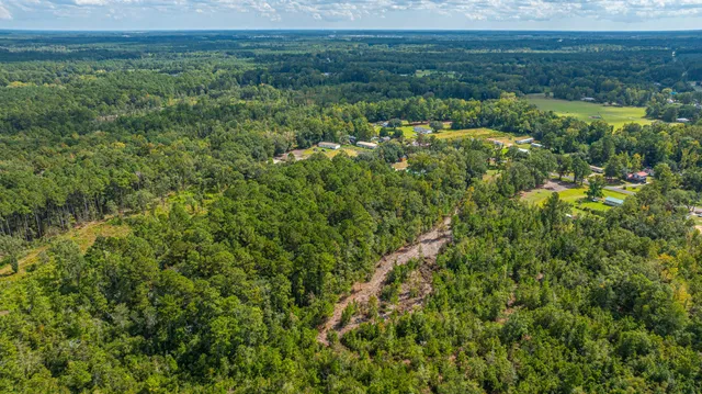 $99,998 | 0 Yaremich Road, Moncks Corner, SC 29461