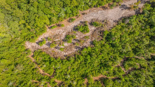 $99,998 | 0 Yaremich Road, Moncks Corner, SC 29461