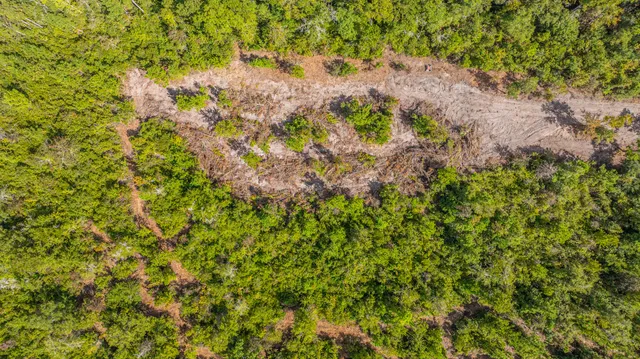 $99,998 | 0 Yaremich Road, Moncks Corner, SC 29461