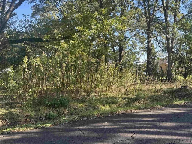 $6,000 | Tbd Tbd Ulysses Street, Eunice, LA 70535